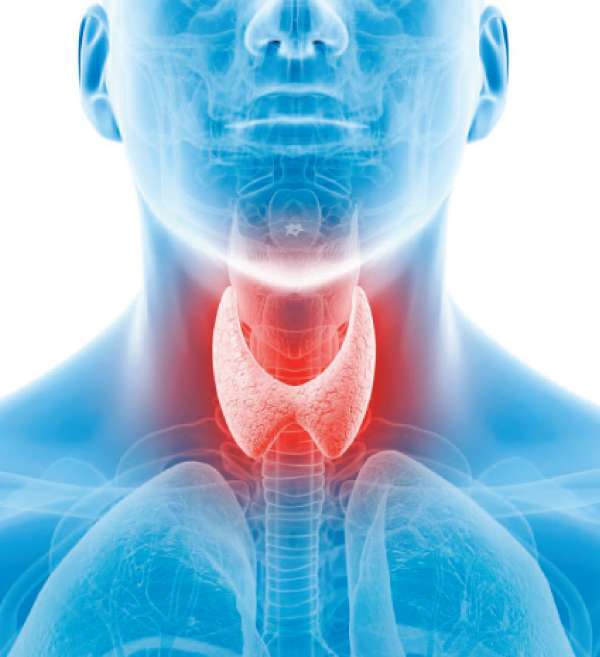 علاج الغدة الدرقية